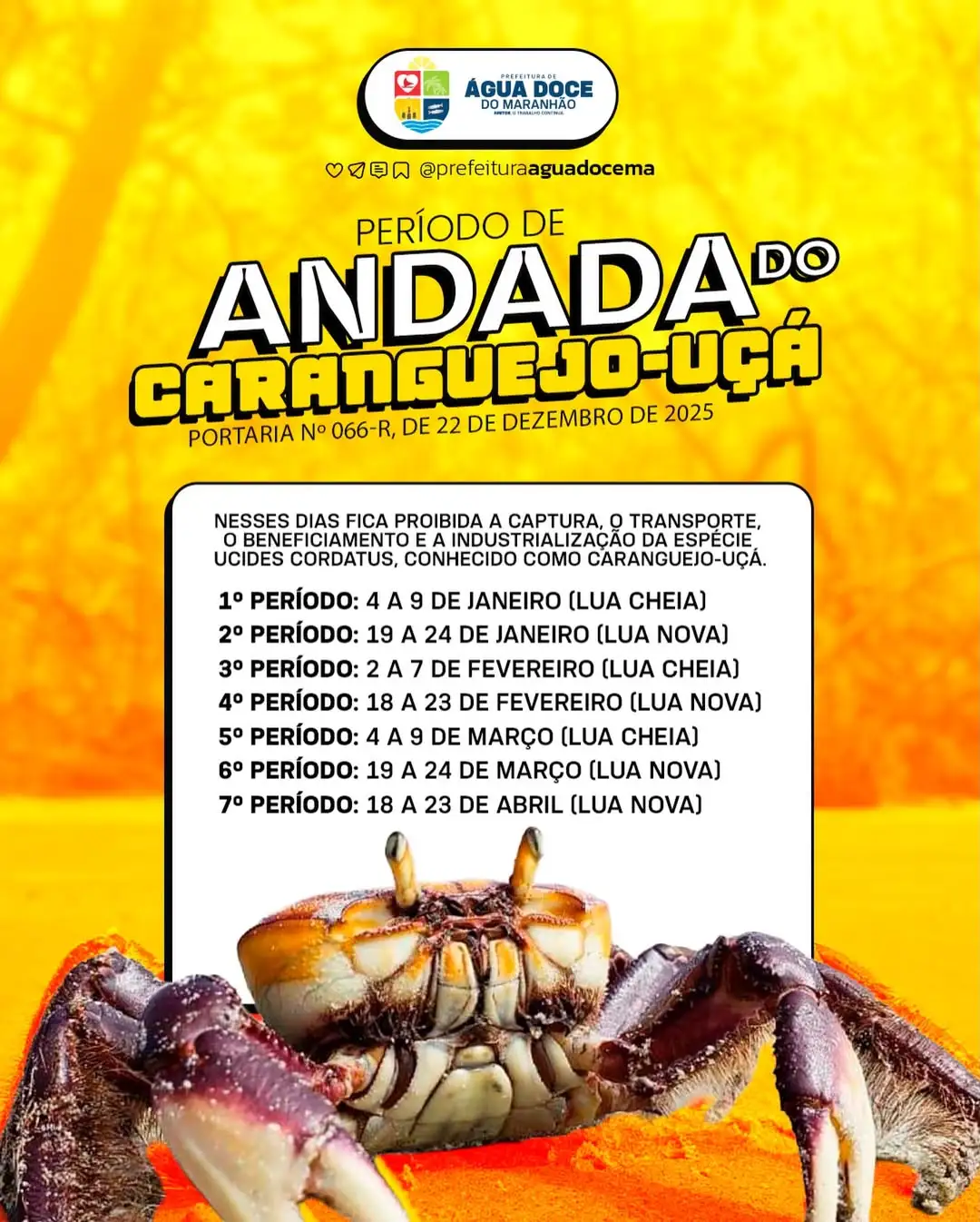 🦀 ATENÇÃO, POPULAÇÃO DE ÁGUA DOCE DO MARANHÃO!